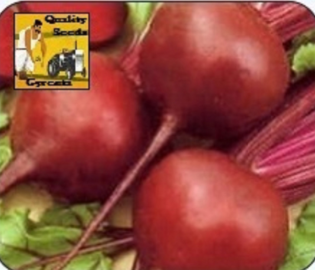 BEETROOT