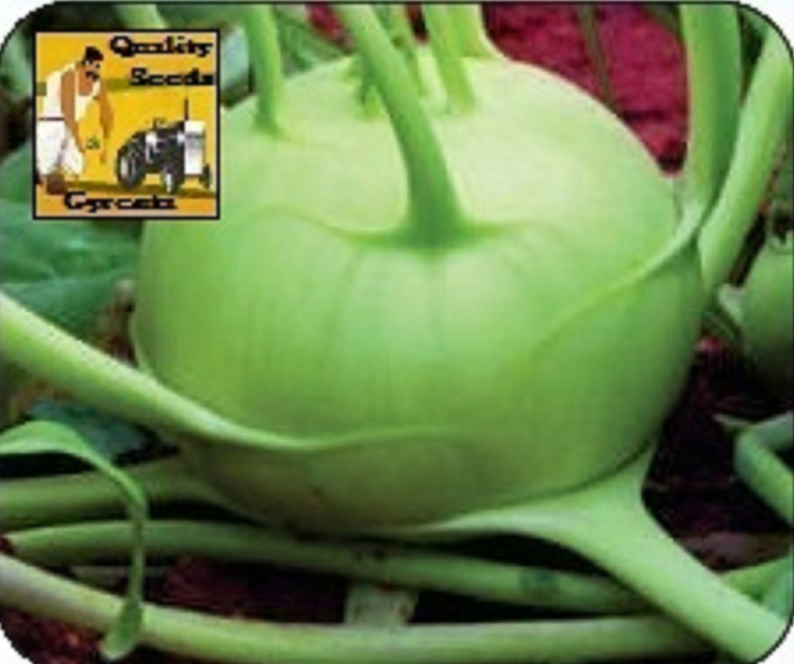 KNOL-KHOL