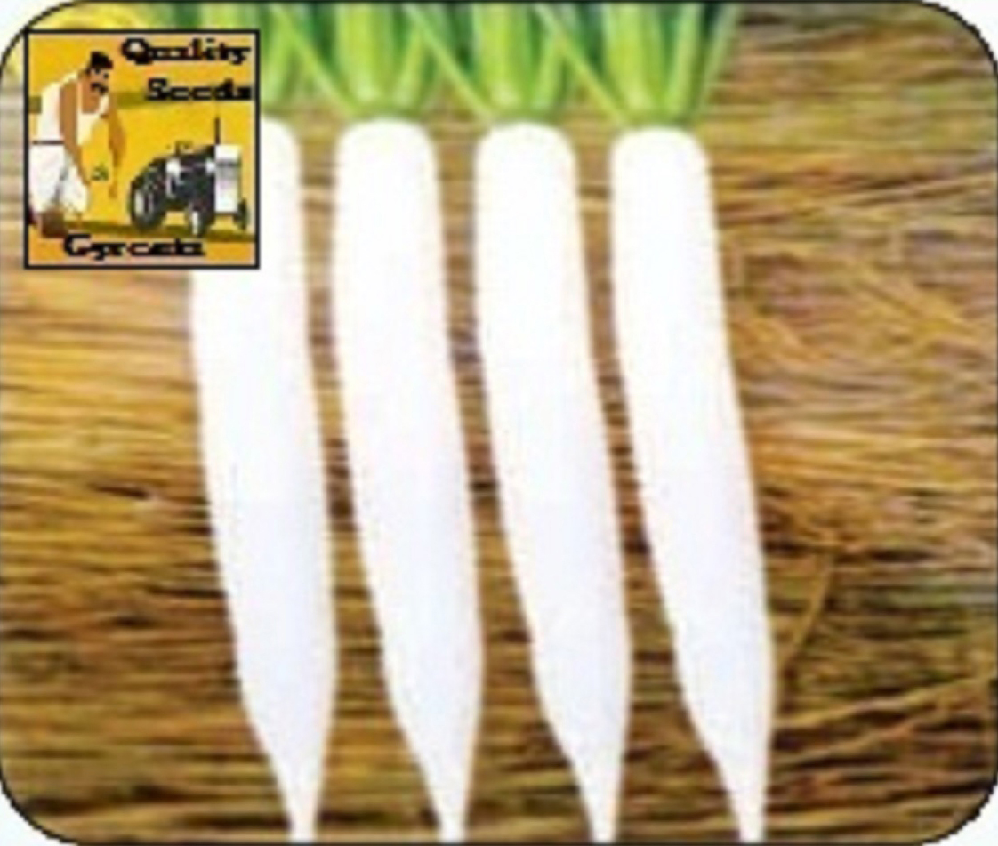 RADISH