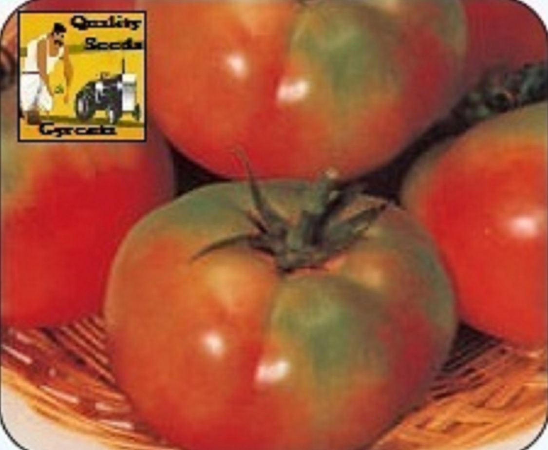 TOMATO